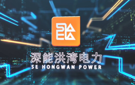 珠海深能洪湾电力有限公司